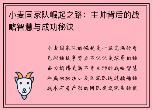 小麦国家队崛起之路：主帅背后的战略智慧与成功秘诀