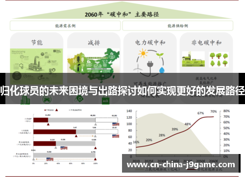 归化球员的未来困境与出路探讨如何实现更好的发展路径
