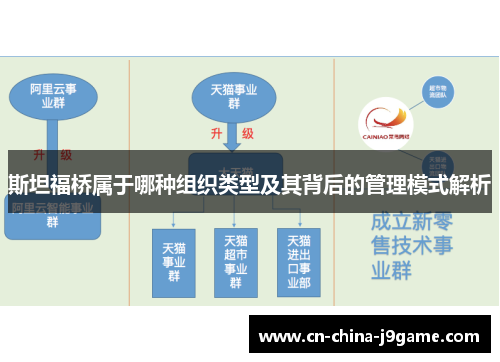 斯坦福桥属于哪种组织类型及其背后的管理模式解析