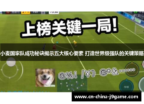 小麦国家队成功秘诀揭示五大核心要素 打造世界级强队的关键策略