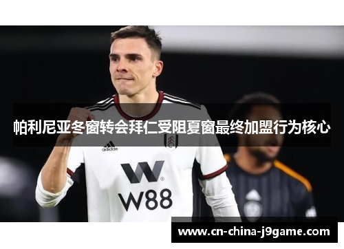 帕利尼亚冬窗转会拜仁受阻夏窗最终加盟行为核心