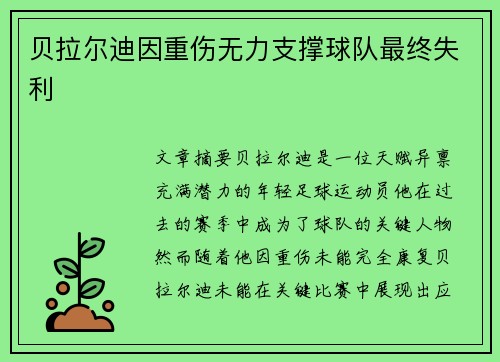 贝拉尔迪因重伤无力支撑球队最终失利